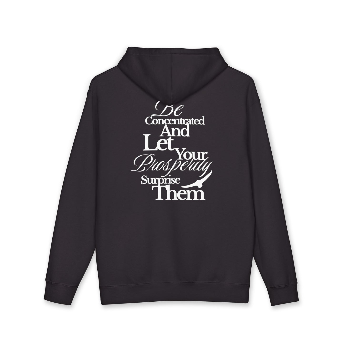 Hoodie — "Be Concentrated and Let Your Prosperity Surprise Them" Inspirational Pullover