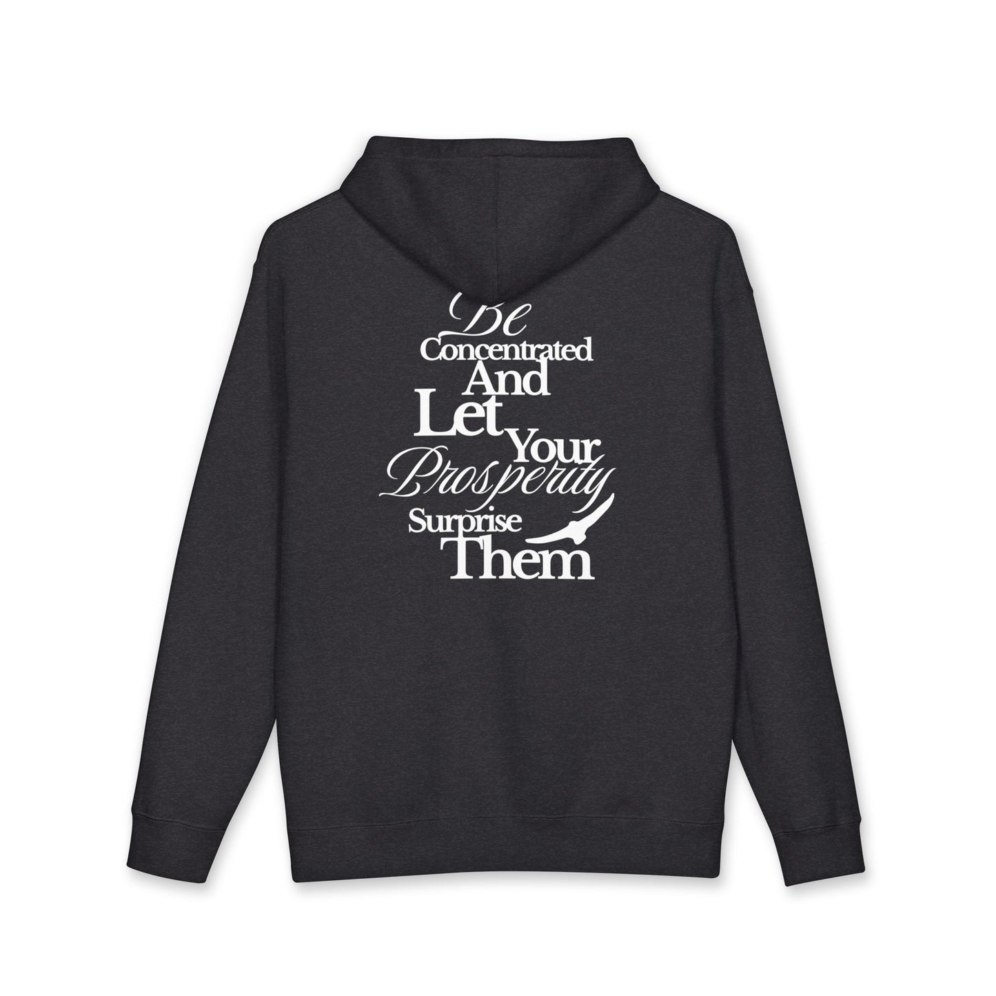 Hoodie — "Be Concentrated and Let Your Prosperity Surprise Them" Inspirational Pullover